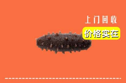 收购资讯:河池市巴马回收海参