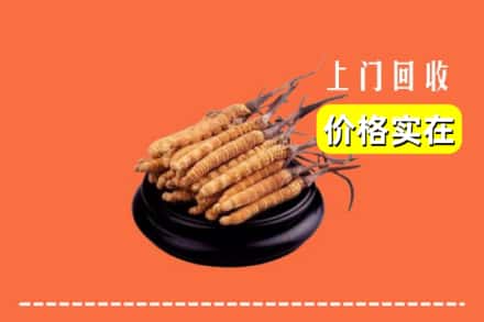 河池市巴马回收冬虫夏草
