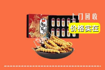 河池市巴马回收虫草